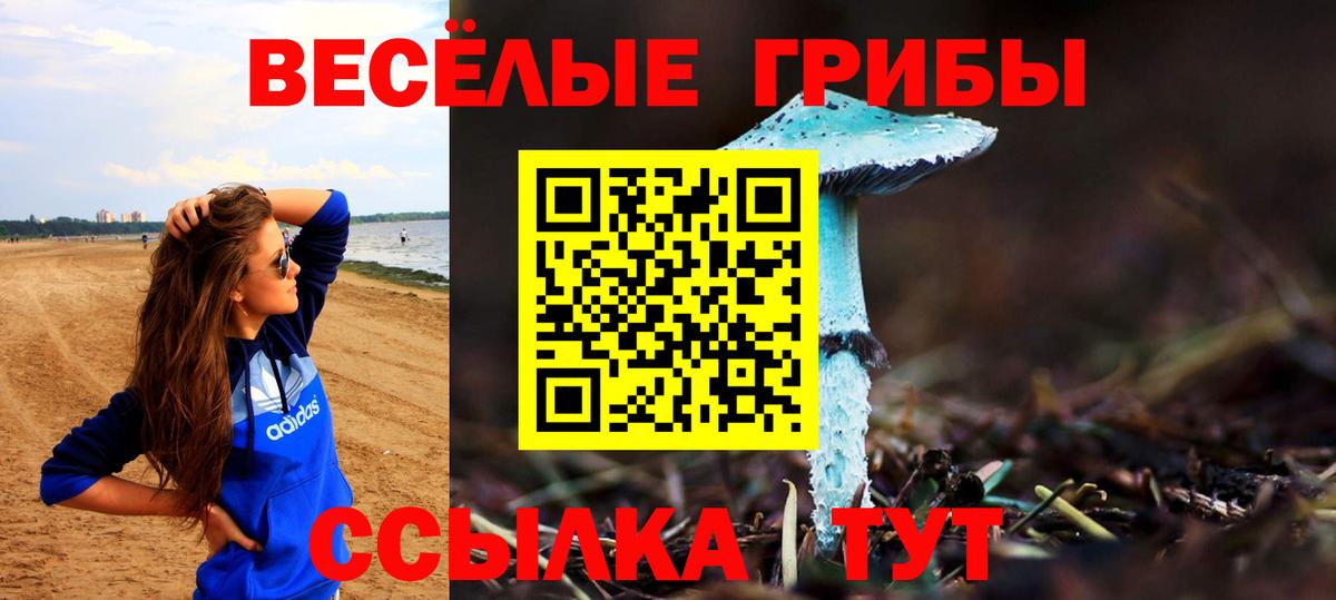 Тавда  Псилоцибиновые грибы мицелий  Вход с VPN  что такое   Галлюциногенные грибы GOLDEN TEACHER 
