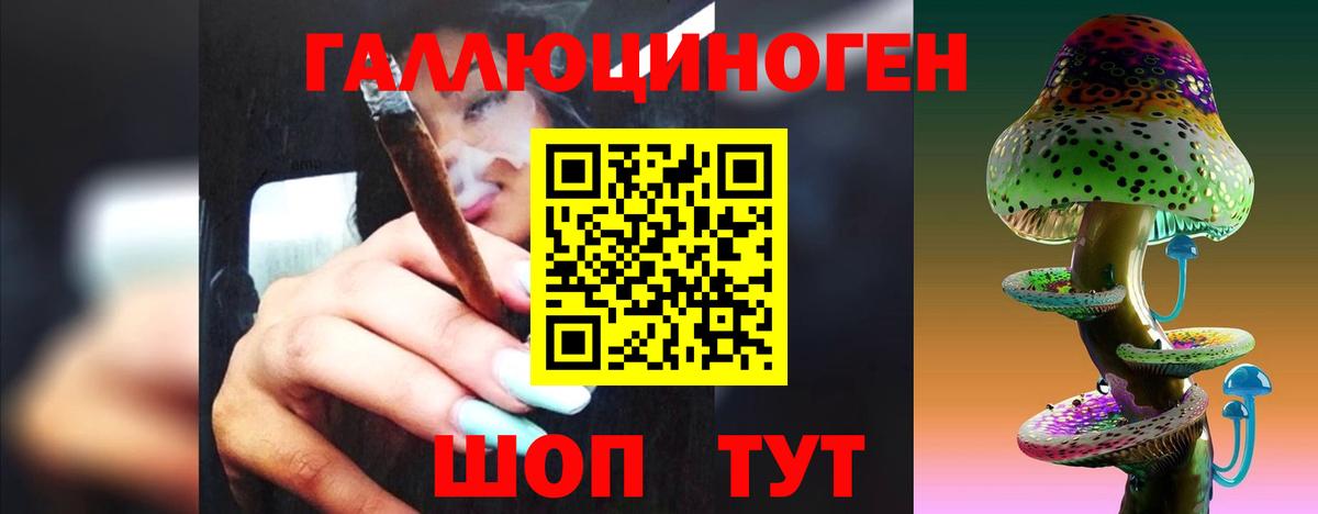 Псилоцибиновые грибы Psilocybe Тавда